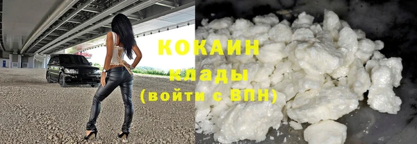 хмурый Карпинск