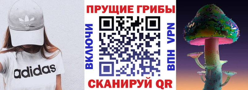 Галлюциногенные грибы Psilocybine cubensis Елабуга